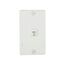 Wallplate w/ Connector, Residential Telephone, Surface, Box, Data/Voice Modular Jack, 3521-4W