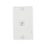 Wallplate w/ Connector, Residential Telephone, Surface, Box, Data/Voice Modular Jack, 3521-4W