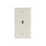 Wallplate w/ Connector, Residential Telephone, Light Almond, Data/Voice Modular Jack, 625B4, 3532-4LA