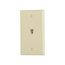 Wallplate w/ Connector, Residential Telephone, Box, Ivory, Data/Voice Modular Jack, 3532-4V