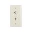 Telephone Jack & Coaxial Adapter Wallplate, Light Almond, Type F, Rj11, Rj14, Combo, 3535-4LA