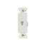4-Conductor Telephone Jack Decorator Insert, White, Surface, Type 625, 3560-4W