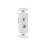 Telephone Jack & Coaxial Adapter Decorator Insert, White, Type F, Rj11, Rj14, Combo, 3562W