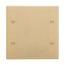 Blank Wallplate, 10% Deeper Than Standard Size, Ivory, Blank Cutout, Thermoset, 2-Gang, 4137V-BOX