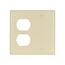Combo Wallplate, 10% Deeper Than Standard Size, Ivory, Duplex Receptacle, Blank Cutout, 2-Gang, 4170V-BOX