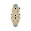 Residential Duplex Receptacle, #14-10 Awg 15A 125V, SideAnd Push, Ivory, High-Impact Duplex, 4270V