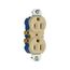 Residential Duplex Receptacle, #14-10 Awg 15A 125V, SideAnd Push, Ivory, High-Impact Duplex, 4270V