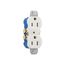 Residential Grade Duplex Receptacle, #14-10 Awg 15A 125V, SideAnd Push, High-Impact Duplex, 4270W