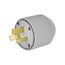 Arrow Hart Extra Heavy-DutyAuto Grip Plug, #12-4Awg 50A, 125/250V, Gray w/ Neoprene Gasket, 4524N