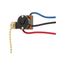Commercial Switch, 3A, 6A, 125/250V, Pull Chain, Brass, Canopy, Polycarbonate, Two-Way, 460-BOX