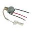 Commercial Switch, 3A, 6A, 125/250V, Pull Chain, Brass, Canopy, Polycarbonate, Two-Way, 460-BOX