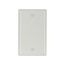 Blank Wallplate, White, Blank Cutout, Nylon, Single- Gang, Standard, Ed Box, 5129W-BOX