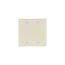 Blank Wallplate, Almond, Blank Cutout, Nylon, Two- Gang, Standard, 5137A