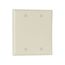 Blank Wallplate, Almond, Blank Cutout, Nylon, Two- Gang, Standard, 5137A