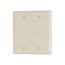 Blank Wallplate, Almond, Blank Cutout, Nylon, Two- Gang, Standard, 5137A