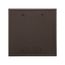 Blank Wallplate, Brown, Blank Cutout, Nylon, Two- Gang, Standard, Ed Box, 5137B-BOX