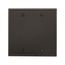 Blank Wallplate, Black, Blank Cutout, Nylon, Two- Gang, Standard, 5137BK