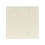 Blank Wallplate, Lt. Almond, Blank Cutout, Nylon, Two- Gang, Standard, 5137LA