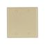 Blank Wallplate, Ivory, Blank Cutout, Nylon, Two- Gang, Standard, Ed Box, 5137V-BOX