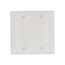 Blank Wallplate, White, Blank Cutout, Nylon, Two- Gang, Standard, Ed Box, 5137W-BOX