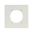 Power Outlet And Locking Wallplate, White, 2.47" Hole Cutout, Nylon, 2- Gang, 5169W-BOX