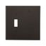 Combination Wallplate, Black, Toggle, Blank Cutout, Nylon, Two- Gang, Standard, 5171BK