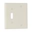 Combination Wallplate, Lt. Almond, Toggle, Blank Cutout, Nylon, Two- Gang, Standard, 5171LA