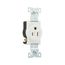 Arrow Hart Industrial Single Receptacle, #14-10 Awg 15A 125V, High-Impact Nylon Face, 5261W