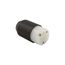 Arrow Hart Auto Grip Straight Blade Plug, #18-12 Awg 15A, 125V, BackWire, 2-Pole 3-Wire, 5269NHG