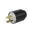 Arrow Hart Auto Grip Straight Blade Plug, #16-12 Awg 20A 125V, 5-20P, 2-Pole 3-Wire, 0.33-0.66", 5366NHG