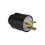Arrow Hart Auto Grip Straight Blade Plug, #16-12 Awg 20A 125V, 5-20P, 2-Pole 3-Wire, 0.33-0.66", 5366NHG