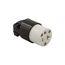 Arrow Hart Ultra Grip Straight Blade Connector, #16-12 Awg, 20A, Industrial, 125V, Back Wire, 5369