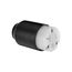 Arrow Hart Auto Grip Straight Blade Connector, #16-12 Awg 20A, 125V, 5-20R, 2-Pole 3-Wire, Screw, 5369N