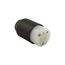 Arrow Hart Auto Grip Straight Blade Connector, #16-12 Awg 20A 125V, 5-20R, 2-Pole 3-Wire, 5369NHG