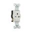 Arrow Hart Industrial Single Receptacle, #14-10 Awg 20A, 250V, 6-20R, 5461W