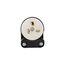 Arrow Hart Ultra Grip Straight Blade Angled Plug, #16-12 Awg 20A, 250V, 6-20P, 2-Pole 3-Wire, 5466AN