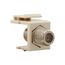 Modular Jacks & Adapters, Coax Type F Insert Adapter, Video, Snap-In, Light Almond, 5552-5ELA