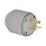 Arrow Hart Extra Heavy-Duty Auto Grip Plug, #12-4 Awg 30A, 250V, Gray, 6-30P, 2-Pole 3-Wire, 5701N