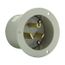 Arrow Hart Flanged Inlet, #12-4Awg, 50A, 277V, Gray, 7-50P, 2-Pole 3-Wire, Grounding, Screw, 5705NFI