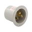 Arrow Hart Flanged Inlet, #12-4Awg, 50A, 250V, Gray, 6-50P, 2-Pole 3-Wire, Grounding, Screw, 5710NFI