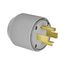 Arrow Hart Auto Grip Plug, #12-4 Awg 30A, Range & Dryer, 125/250V, Gray, 14-30P, 3-Pole, 4-Wire, 5746N