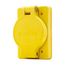 Arrow Hart Watertight Straight Blade Single Receptacle, #18-10 Awg 15A, Panel, 250V, 60W49