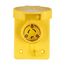 Arrow Hart Watertight Locking Receptacle, #18-10 Awg 15A, 250V, Black, L6-15, 2-Pole 3-Wire, 65W49BK