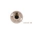 Lampholder, 3.25" Box Mounting, Keyless Switch, 3W Outlet, Pull Chain, #14-10 Awg, Porcelain, 667-SP