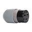 Arrow Hart Auto Grip Connector, #12-4 Awg 30A, 250V, 6-30R, 2-Pole 3-Wire, 0.43-1.31", 6700N