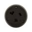 Arrow Hart Extra Heavy-Duty Auto Grip Connector, #12-4 Awg 30A, 277V, 7-30R, 2-Pole 3-Wire, 6795N