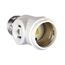 Socket Adapter, 1 Socket To 1 Socket w/ 2 250W Nema 1-15R Outlets, 125V, White, Nema 1-15R, 660W, 715-3W-SP