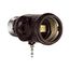1 Socket To 1 Socket Socket Adapter w/ 2 250W Nema 1-15R Outlets, Pull Chain Switch, 125V, Brown, 718B-BOX