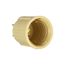 Outlet Adapter, One Outlet To One Socket, Polarized, 125V, Medium Base, Ivory, 738V-BOX
