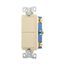 Commercial Combo Switch, Auto-Grnd, #14-#12 Awg 15A, Resi, 120/277V, Rocker, Ivy, 7731V-BOX